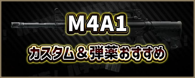 M4A1 Custom, Contractwars Wiki