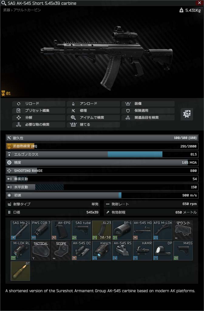 AK-545-Short_序盤カスタム