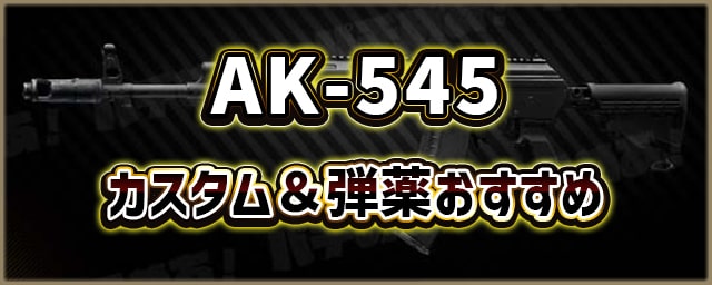 AK-545_カスタム＆弾薬おすすめ_256px