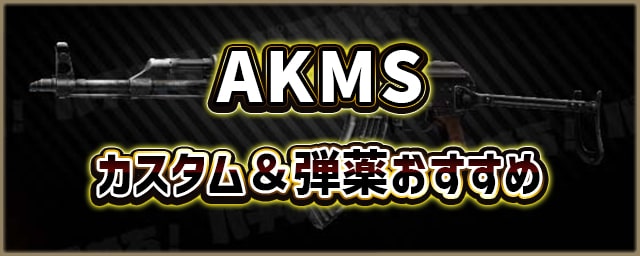 AKMS_カスタム＆弾薬おすすめ_256px