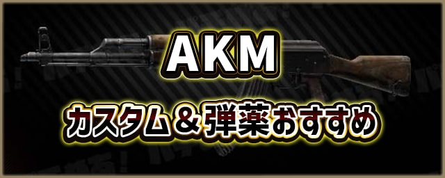 AKM_カスタム＆弾薬おすすめ_256px