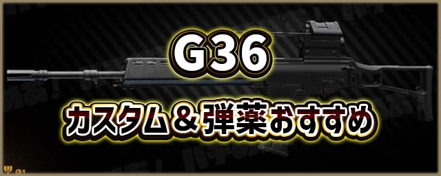 G36_カスタム＆弾薬おすすめ_256px