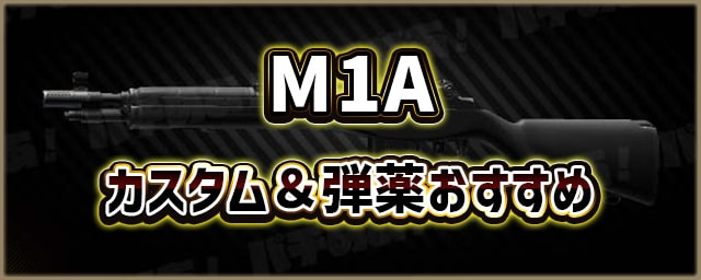 M1A_カスタム＆弾薬おすすめ_256px