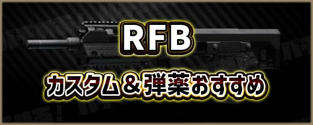 RFB_カスタム＆弾薬おすすめ_256px