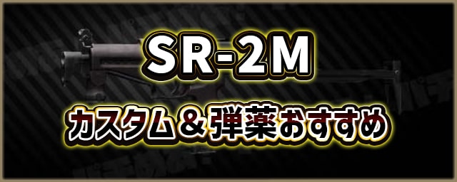 SR-2M-Veresk_カスタム＆弾薬おすすめ_256px