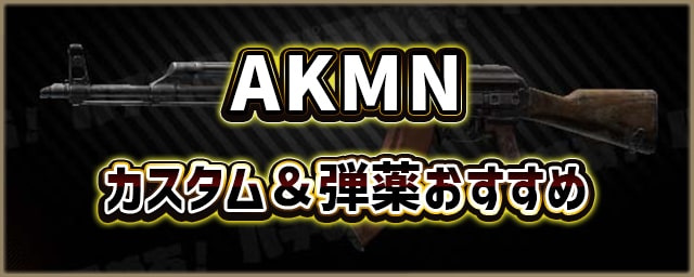 AKMN_カスタム＆弾薬おすすめ_256px