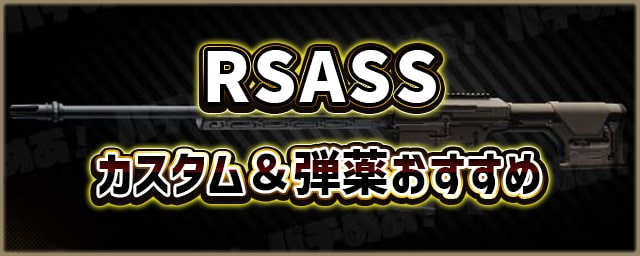 R11-RSASS_カスタム＆弾薬おすすめ_256px