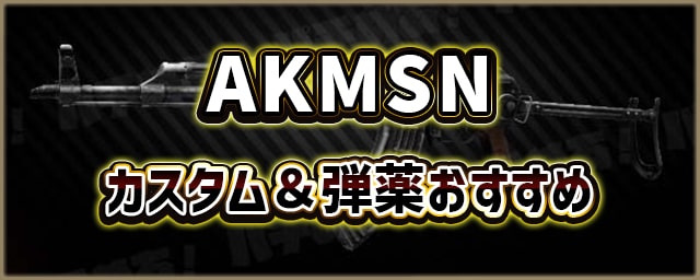 AKMSN_カスタム＆弾薬おすすめ_256px