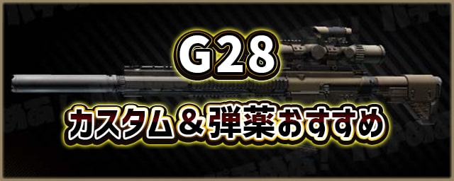 G28_カスタム＆弾薬おすすめ_256px