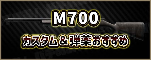 M700_カスタム＆弾薬おすすめ_256px
