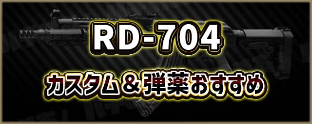 RD-704_カスタム＆弾薬おすすめ_256px