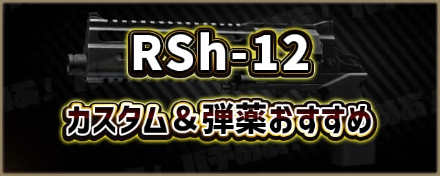 RSh-12_カスタム＆弾薬おすすめ_256px