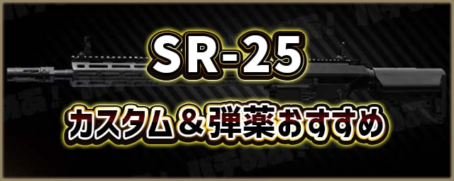 SR-25_カスタム＆弾薬おすすめ_256px