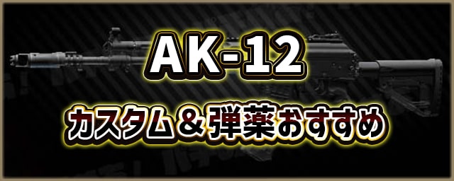 AK-12_カスタム＆弾薬おすすめ_256px